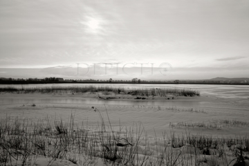 Lake Ammersee, Bavaria, 2005