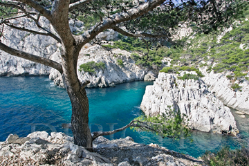 Calanques, Provence, 2005