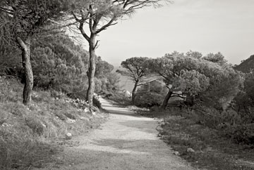 Cap Taillat, Provence, 2008<br />
(From the series: "Chemins millénaires")