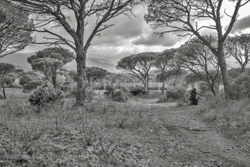 La Plaine des Maures, Provence, 2014