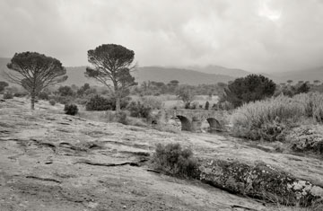 Roman Bridge, La Plaine des Maures, 2015