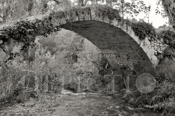 Roman Bridge near Salernes, Provence, 2004